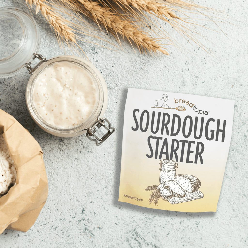 Sourdough Starter Management: A Zero-Discard Method – Breadtopia