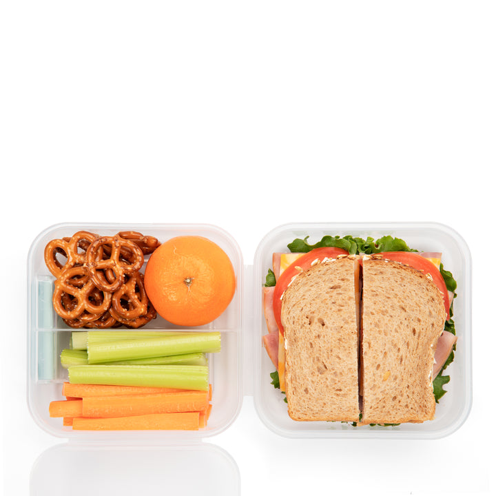 top view of plastic food storage container lunch box with lid and lunch inside