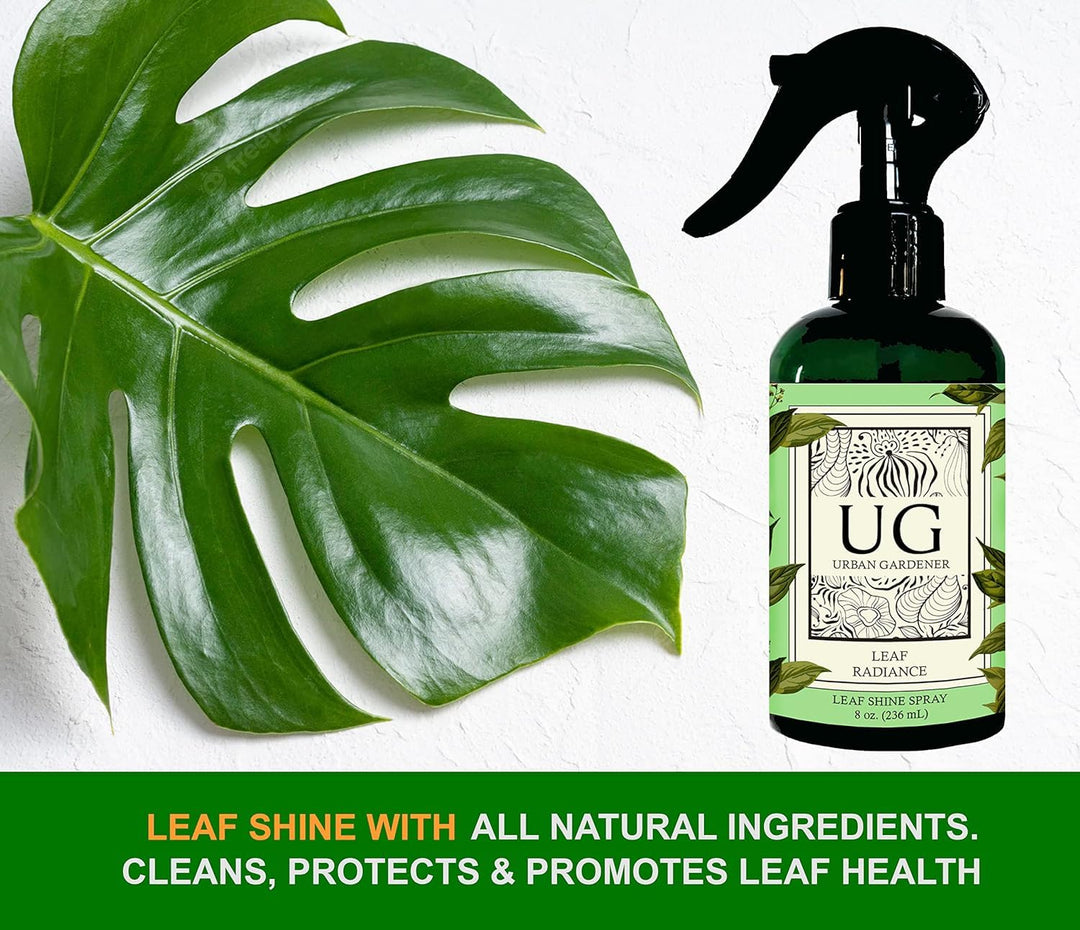 Leaf Radiance Shine Plant Spray Household Plant Care by Urban Gardener