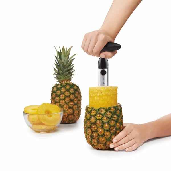 Large Best Fruit Pineapple Rosle Corer Slicer Peeler - China Fruit Corer  Peeler, Rosle Fruit Corer