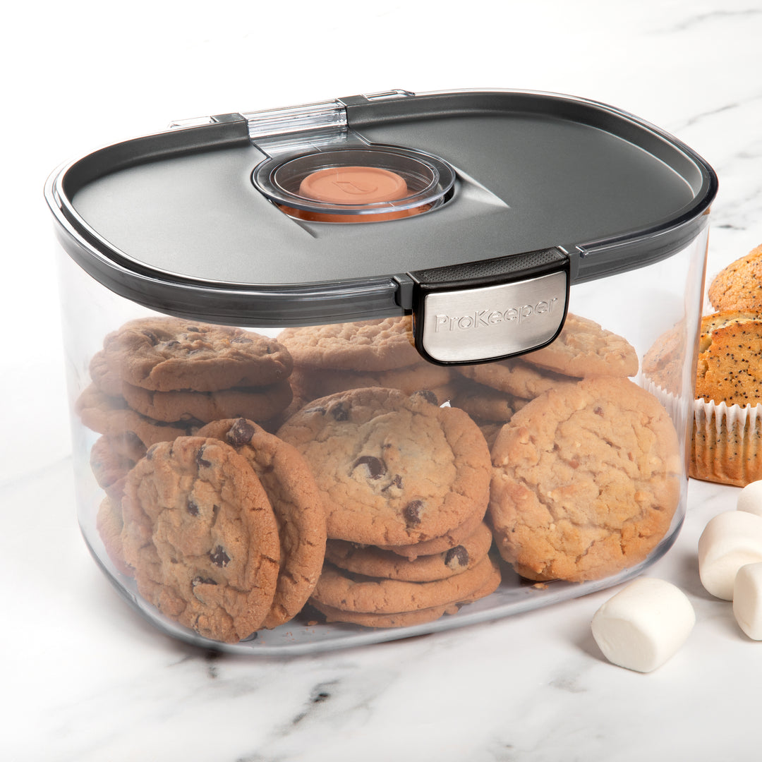 plastic airtight container with cookies