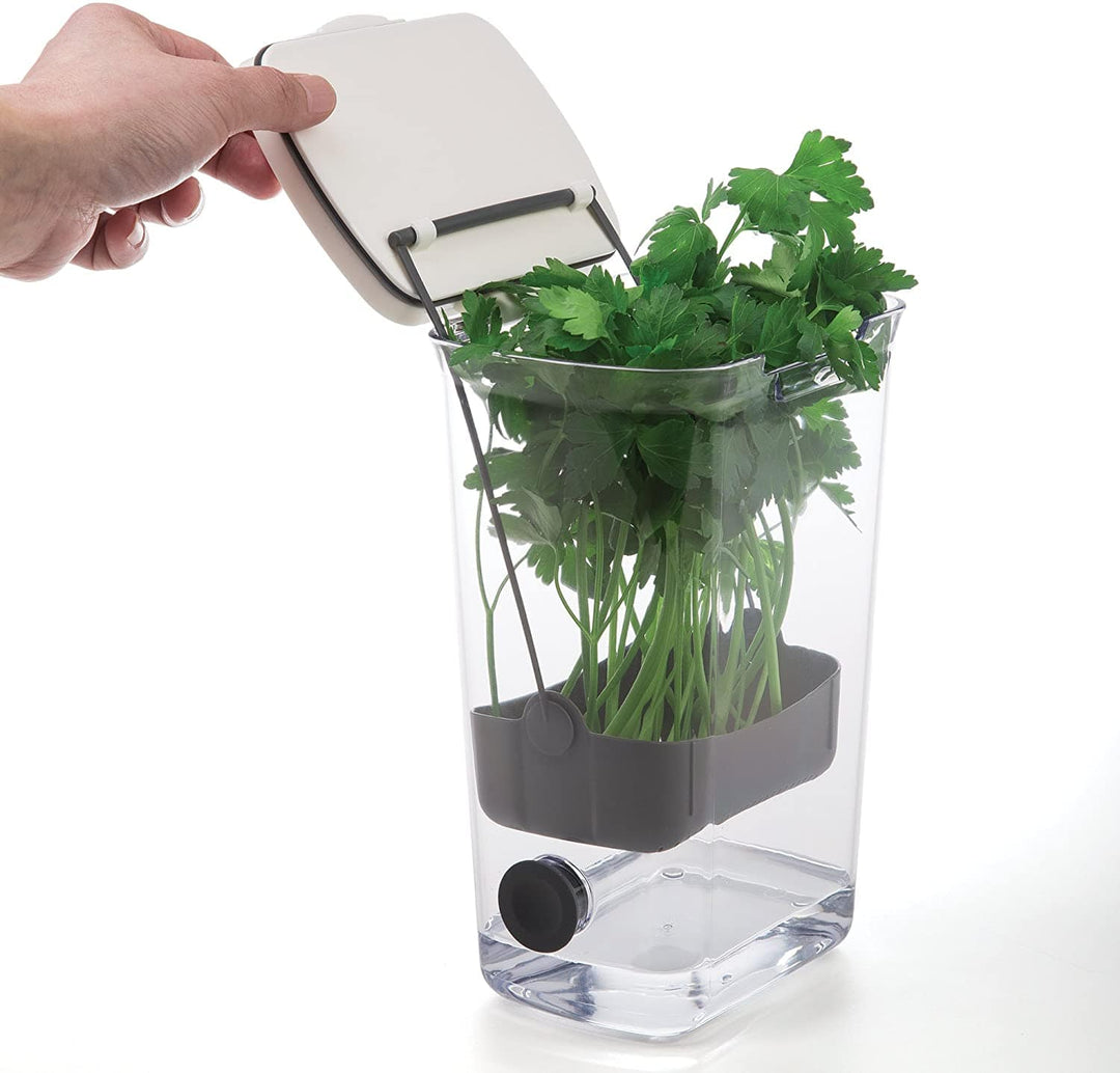 Lettuce Keeper, Crafted With 100% Durable Plastic, Kitchen Storage