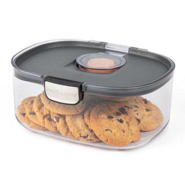 Large Cookie Storage Container