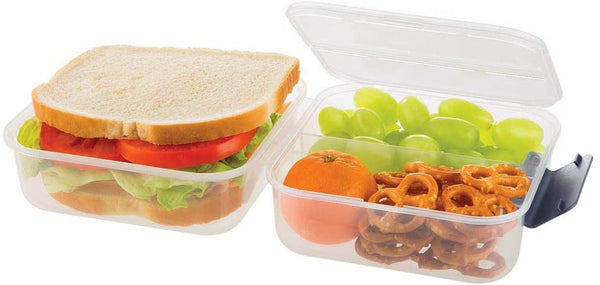 Progressive Snaplock Sandwich To-Go  Food storage containers, Perfect food,  Sandwiches